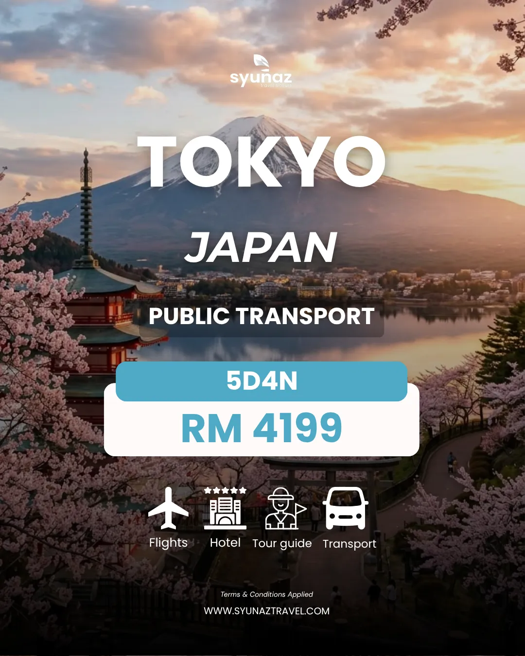 Tokyo public transport package